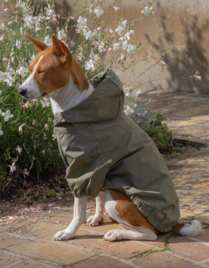 Imperméable pour chien Stylé - Protection & Confort