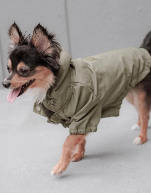 Imperméable pour chien Stylé - Protection & Confort