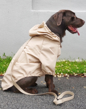 Imperméable Chien Stylé - Élégance & Confort