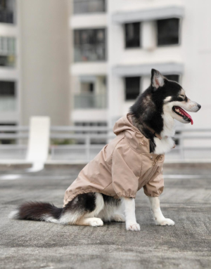 Imperméable Chien Stylé - Élégance & Confort