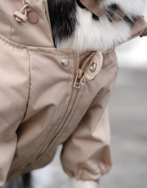 Imperméable Chien Stylé - Élégance & Confort