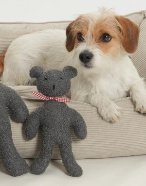 Peluche pour Chiens Ourson "Orsu-Pa" Gris - Dogs in the City