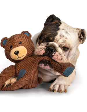 Peluche pour Chien Ours Dumé - Fabdog