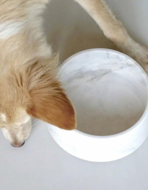 Gamelle Marbre de Carrara Véritable pour Chien et Chat - Luxe & Design