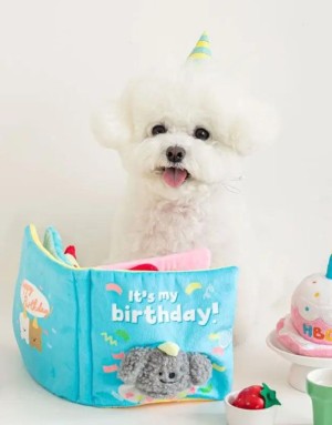 Jouet pour Chien LIVRE ANNIVERSAIRE - distributeur de friandises