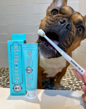 Dentifrice pour Chien Chiot Naturel - Wag & Bright