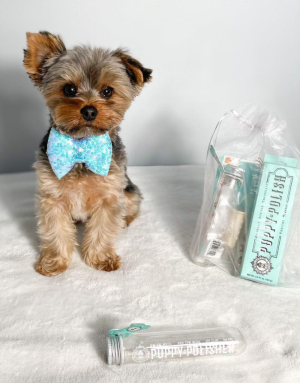 Dentifrice pour Chien Chiot Naturel - Wag & Bright