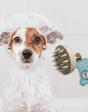 Brosse à Shampoing pour Chien - Wag & Bright