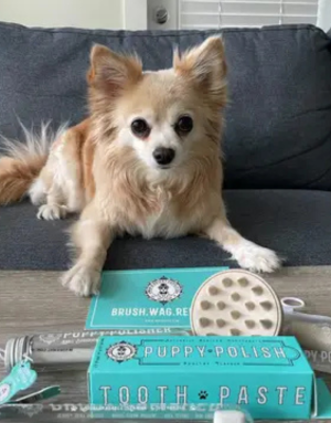 Brosse à Shampoing pour Chien - Wag & Bright