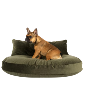 Lit pour Chien Luna Lounge Olive - LABONI