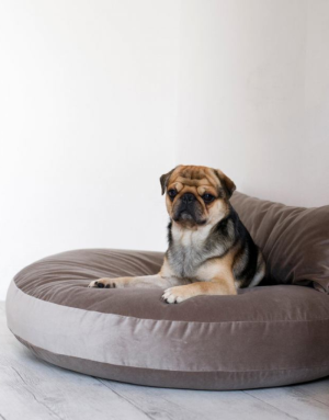 Lit pour Chien Luna Lounge Stone - LABONI