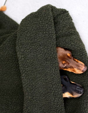 Lit pour Chien Gigoteuse Army Green