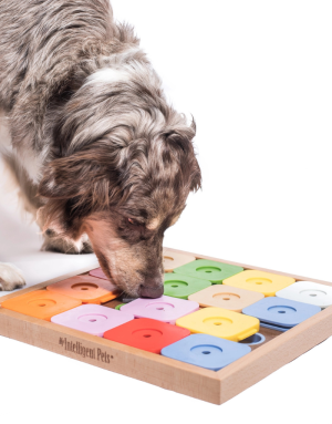 Jeu pour Chien Éducatif Sudoku Dog