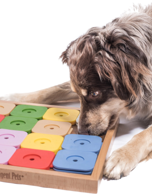 Jeu pour Chien Éducatif Sudoku Dog