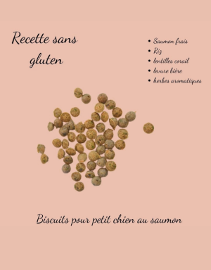 Friandise Petit Chien 100% Naturel  Biscuits Saumon sans Gluten - Crocandiz