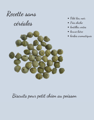 Friandise Petit Chien 100% Naturel Biscuits Poisson sans Céréales - CROCANDIZ