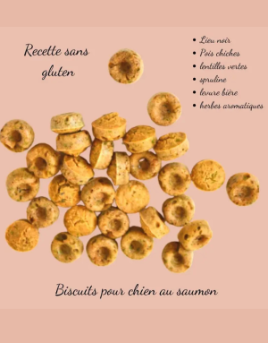 Biscuits pour Chien au Saumon Crocandiz