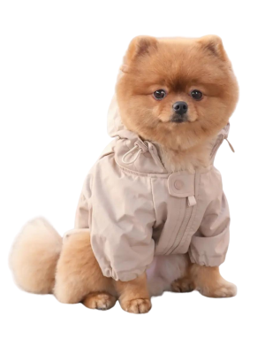 Imperméable pour chien Stylé