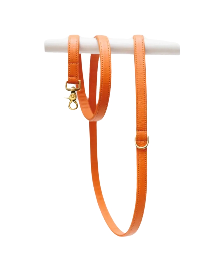 Laisse pour Chien Cuir Véritable Orange - Finition Laiton