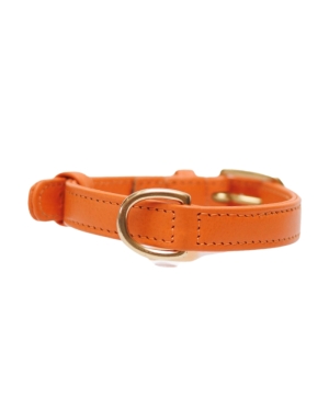 Collier pour Chien Cuir Véritable Orange - Luxe & Élégance