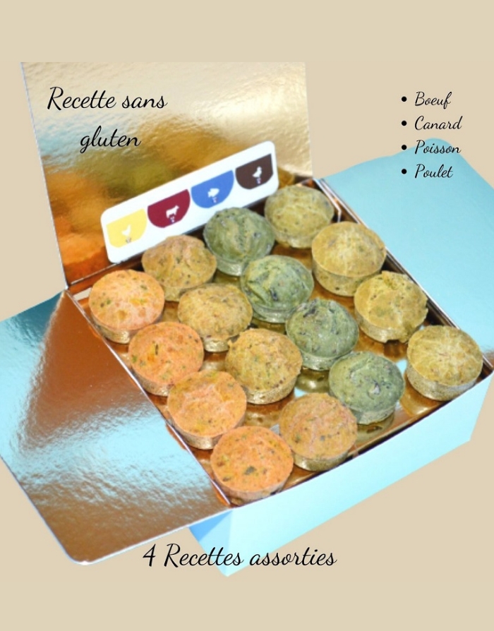 Pour Chien Boîte de Biscuits Assortiment Crocandiz