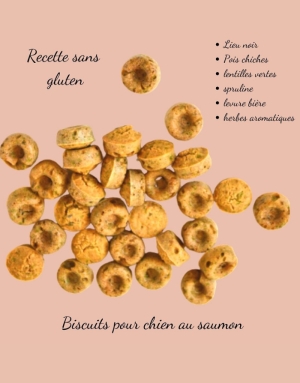 Pour Chien Boîte de Biscuits au Saumon Crocandiz