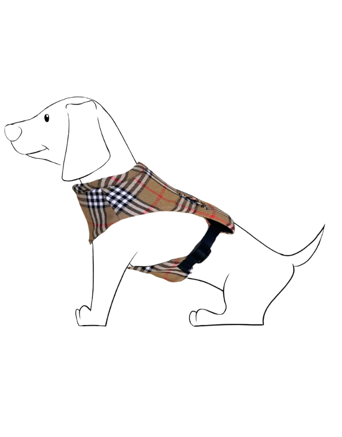 Harnais Martingale pour Chien - Inspiration Haute Couture