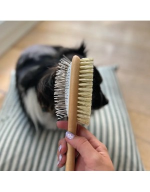 Brosse pour Chien Double Face - Fibres Naturelles