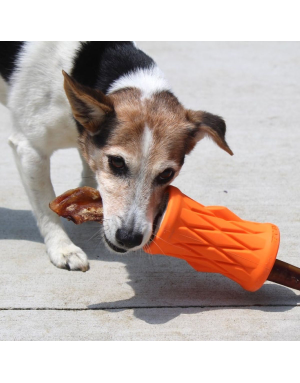 Jouet d’Occupation pour Chien Tronc