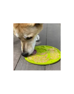 Tapis à Lécher pour Chien