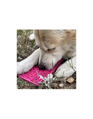 Tapis à Lécher pour Chiot ou Petit Chien Flower