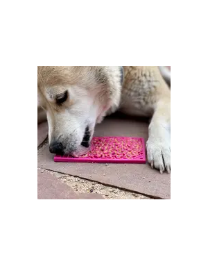 Tapis à Lécher pour Chiot ou Petit Chien Flower