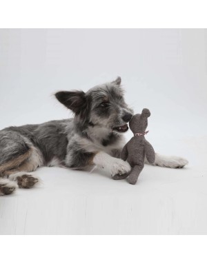 Peluche pour Chien Ours "Orsu" Taupe - Dogs in the City