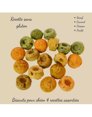 Pour Chien Boîte de Biscuits Assortiment Crocandiz