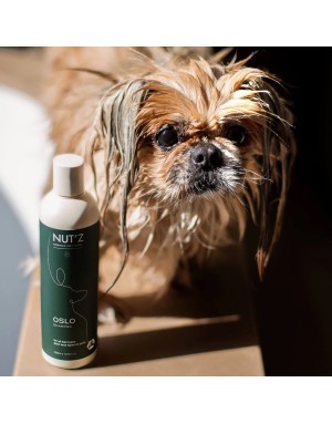 Shampoing pour Chien Olslo Doux Universel - Nut'z