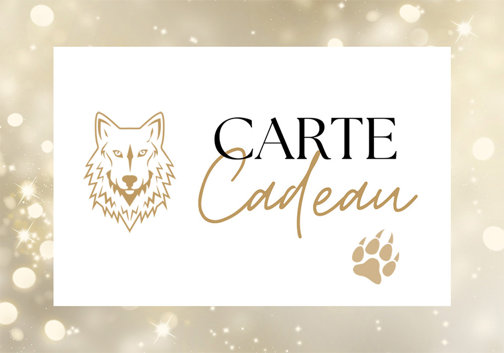 carte-cadeau-bella-concept-store